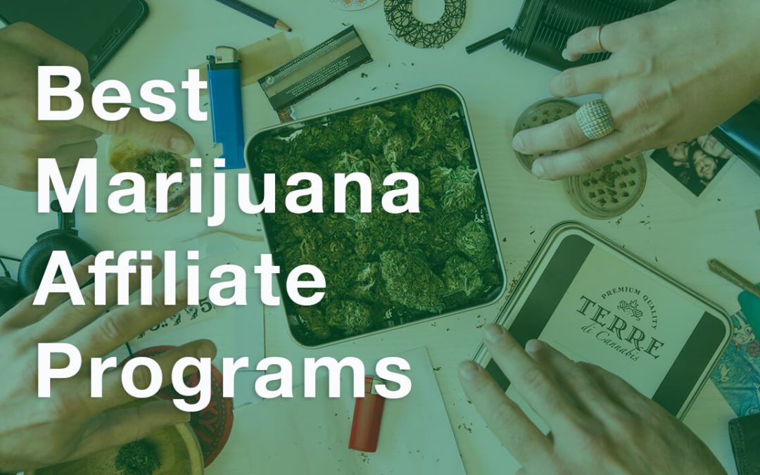 Top Marijuana Affiliate Programs